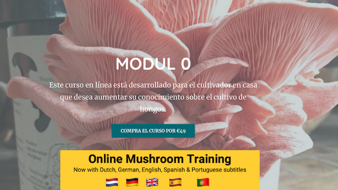 New subtitles added to our online mushroom course