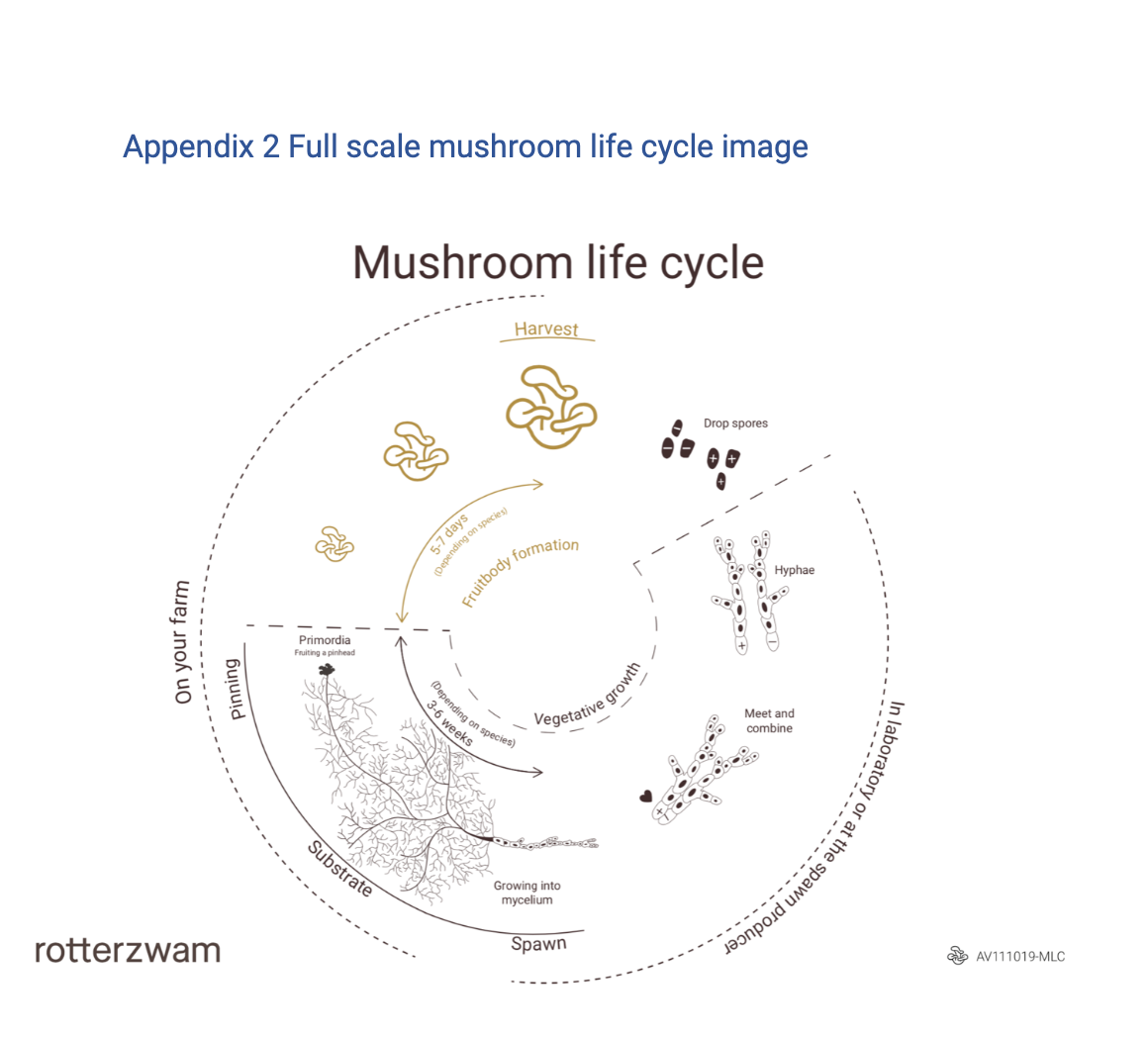 E-book - 3 mushroom substrate recipes for the small mushroom grower