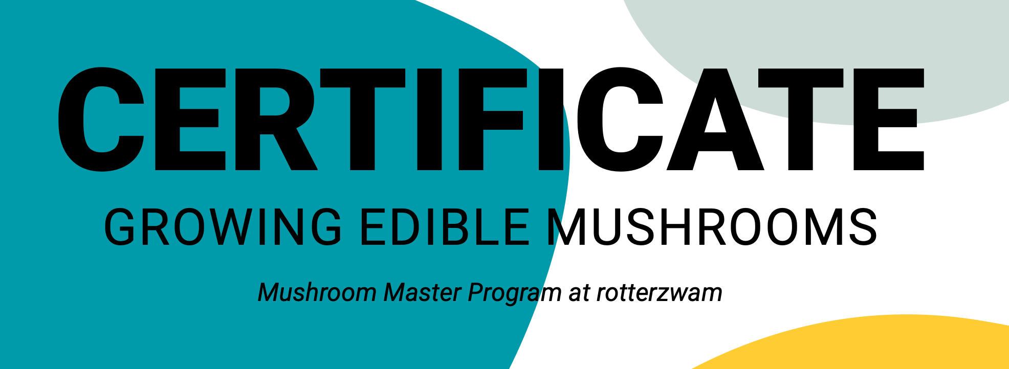 4 days Mushroom Master Program - rotterzwam