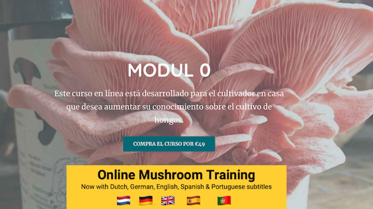 New subtitles added to our online mushroom course