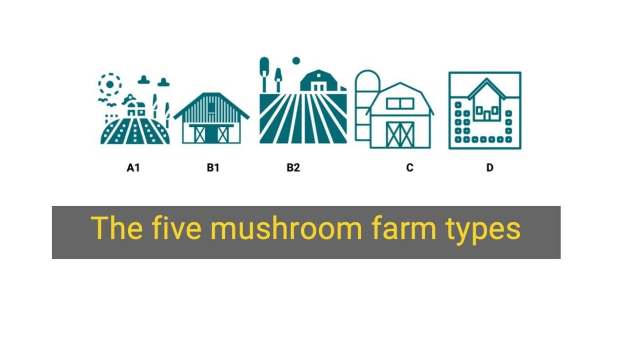 The 5 different mushroom farm types