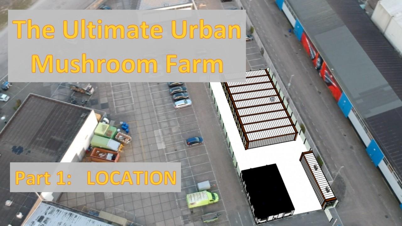 The Ultimate Urban Mushroom Farm part 1