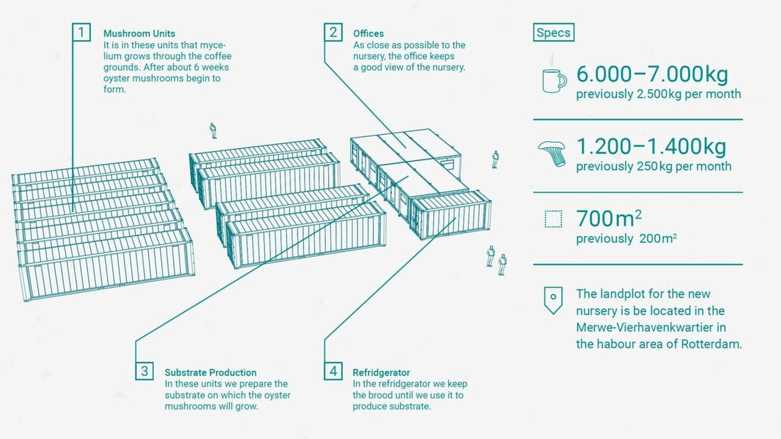 10 things to watch when you are building your urban mushroom farm