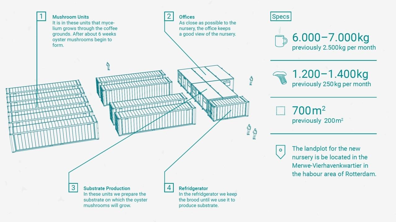 10 things to watch when you are building your urban mushroom farm