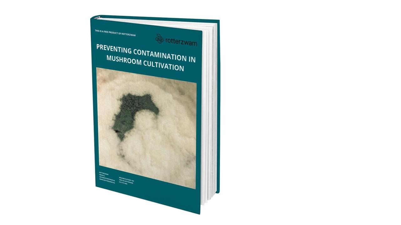 Preventing contamination in mushroom cultivation