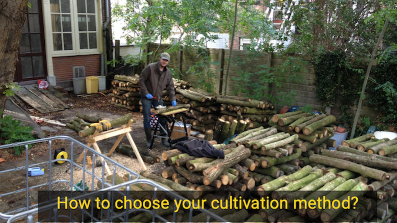 How to choose your mushroom cultivation method